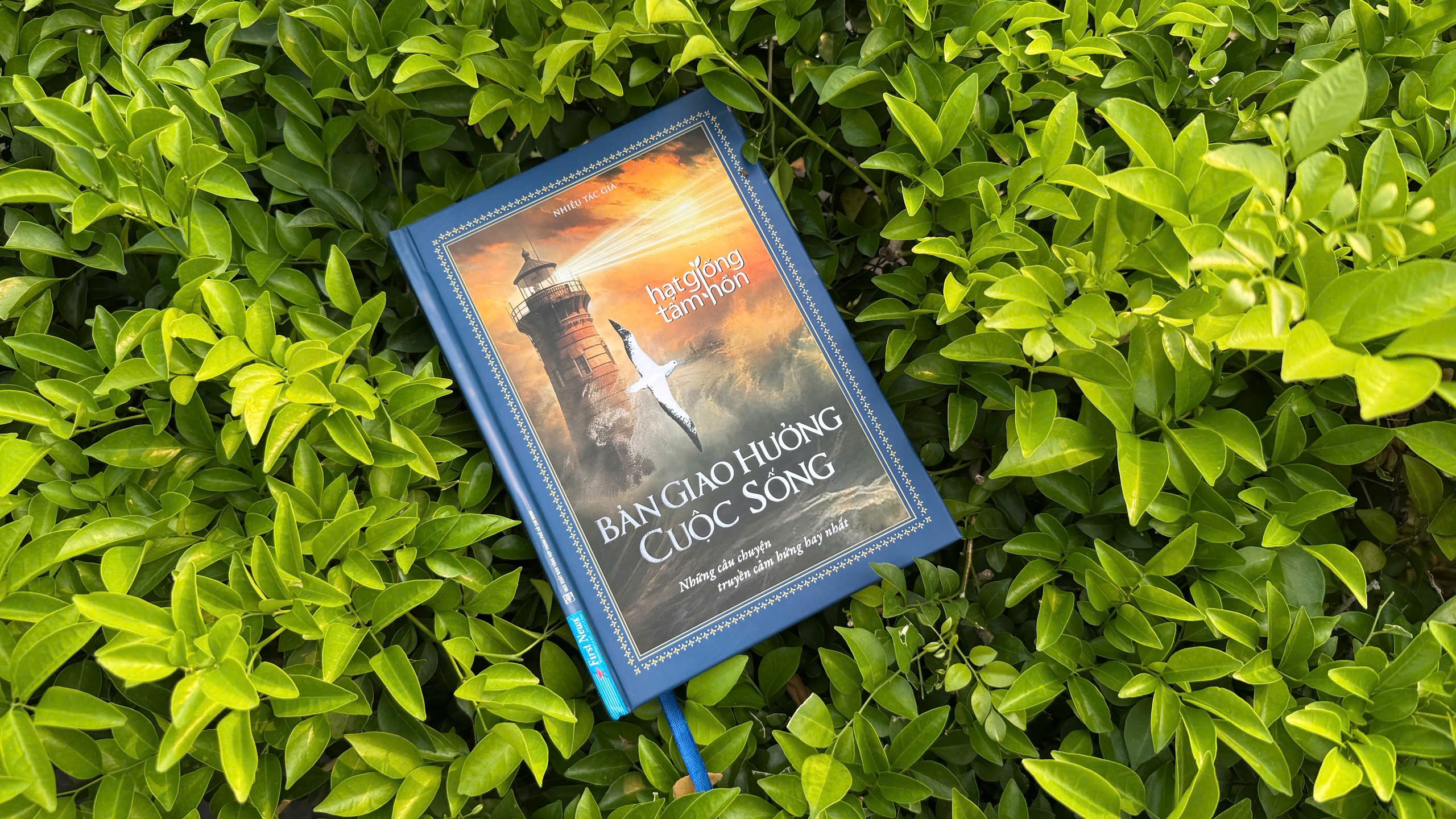 Doi dien cuoc doi, can truong ma song hinh anh