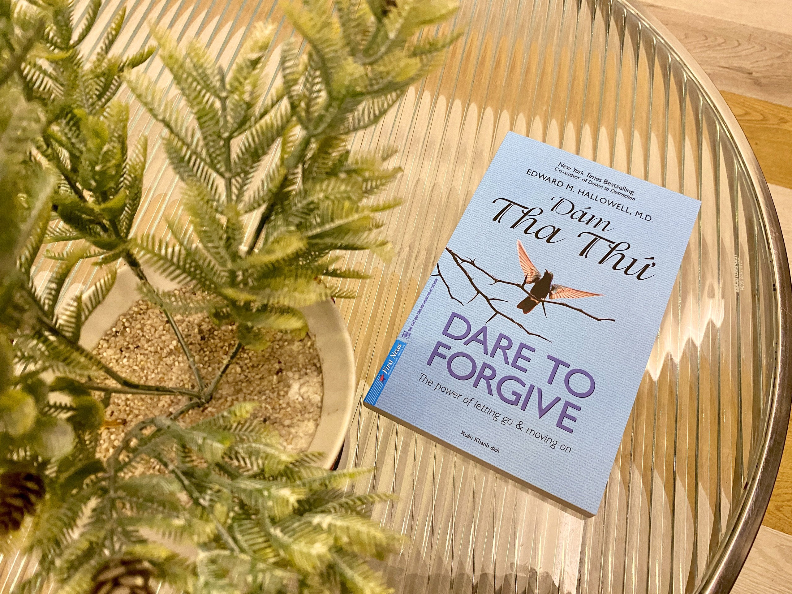 dám tha thứ ảnh 2 dam tha thu anh 2