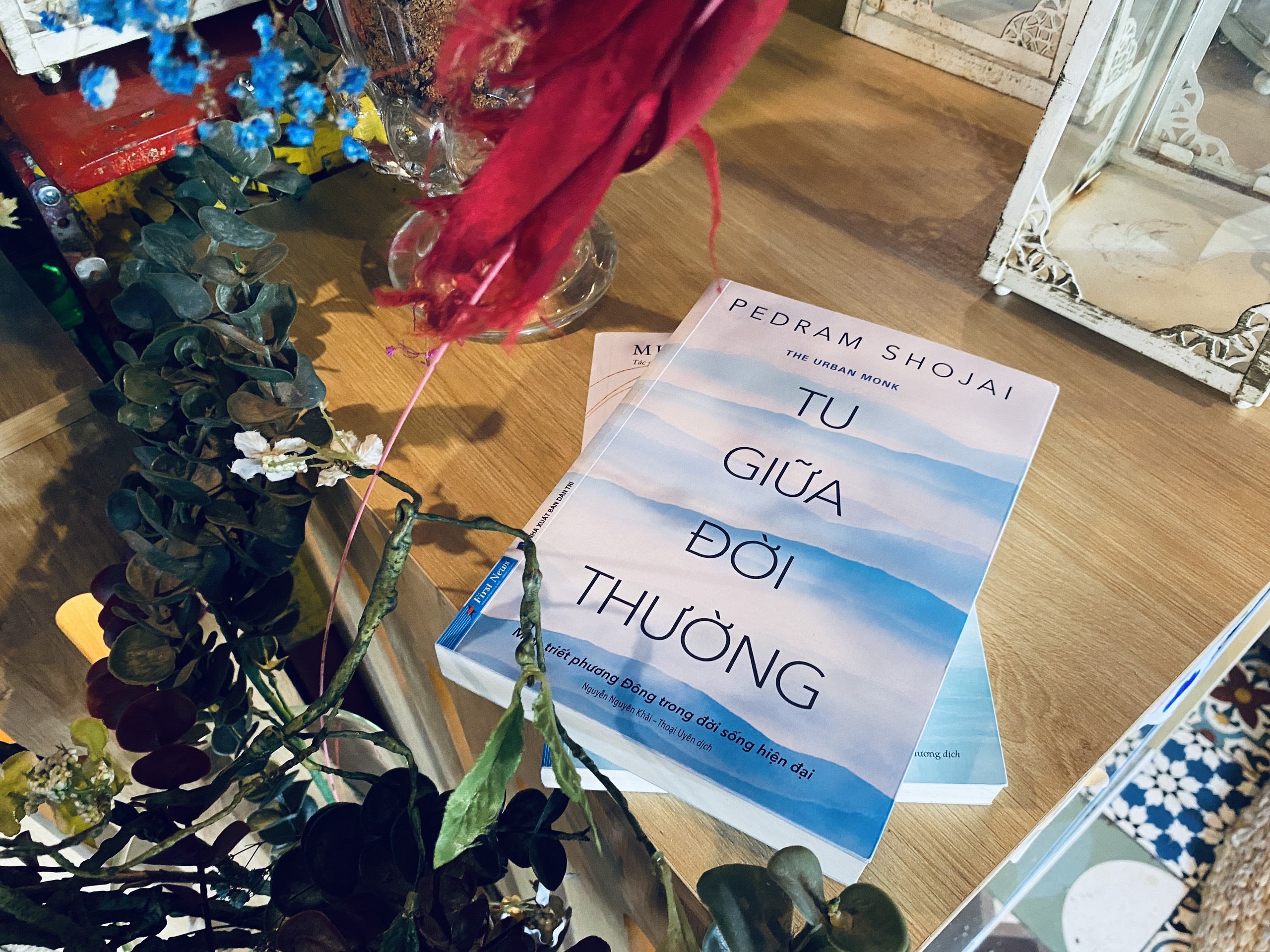 tu giua doi thuong anh 2