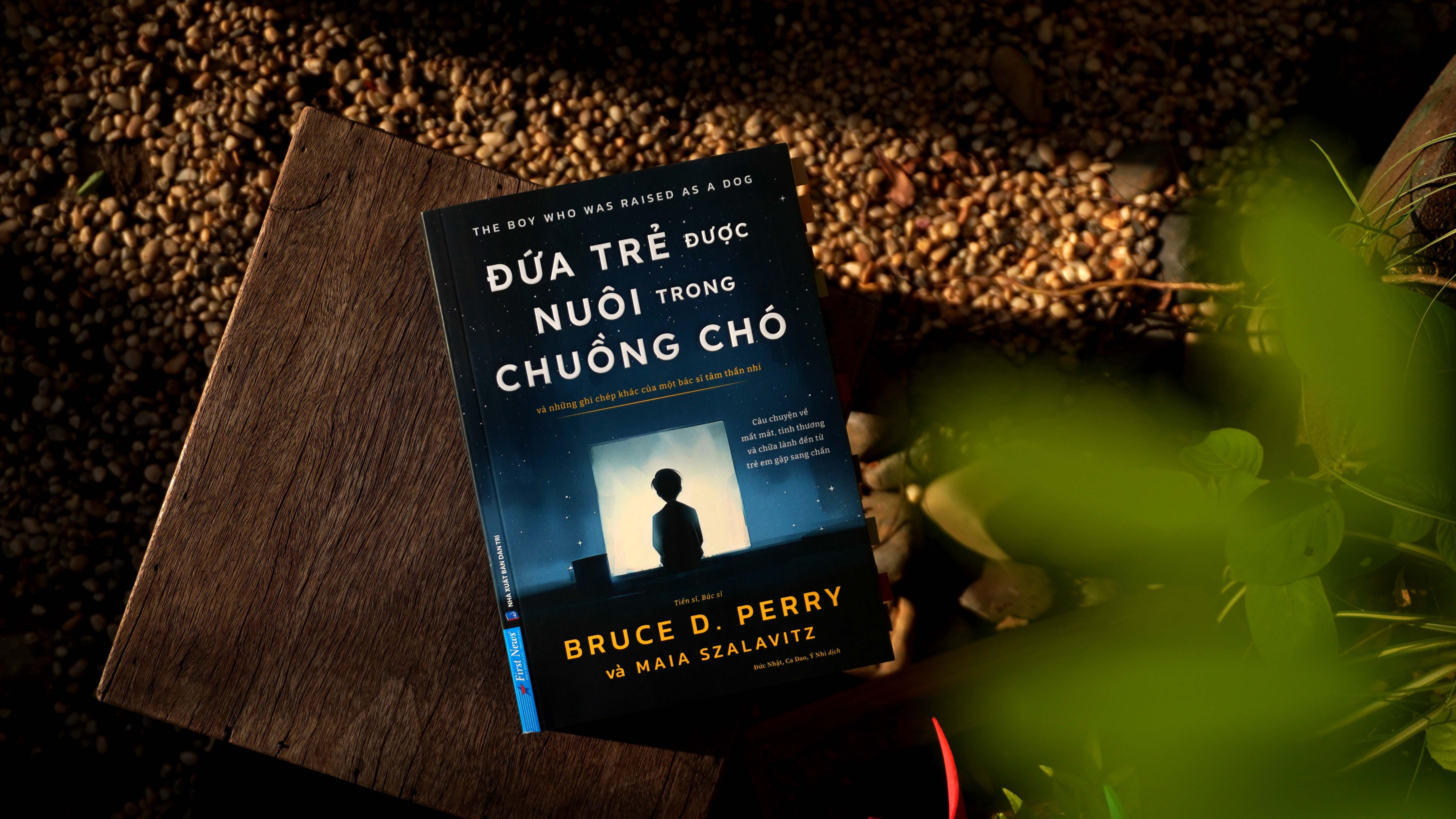 Cai ac an sau khuon mat binh thuong hinh anh