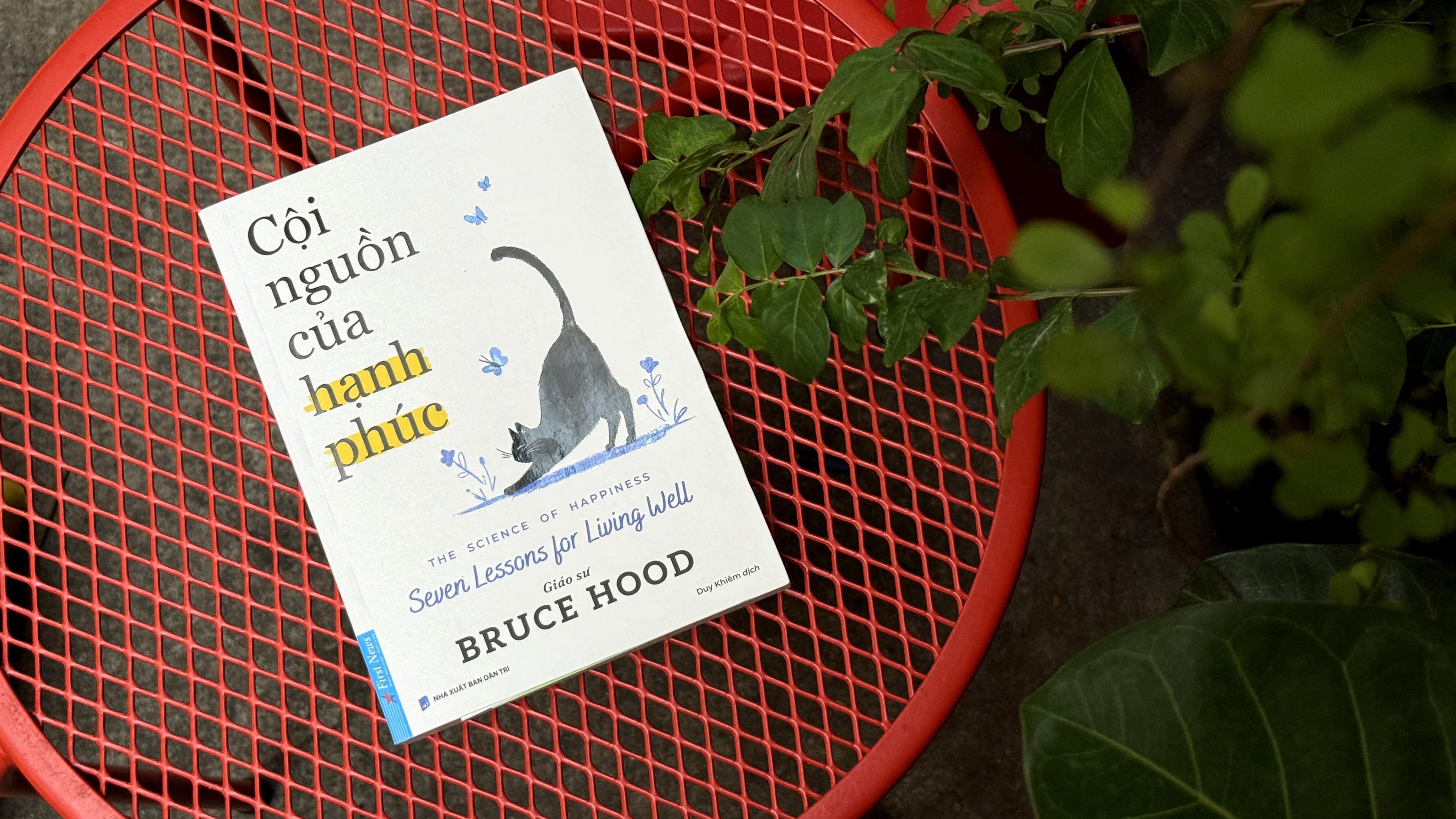 Coi nguon hanh phuc anh 2