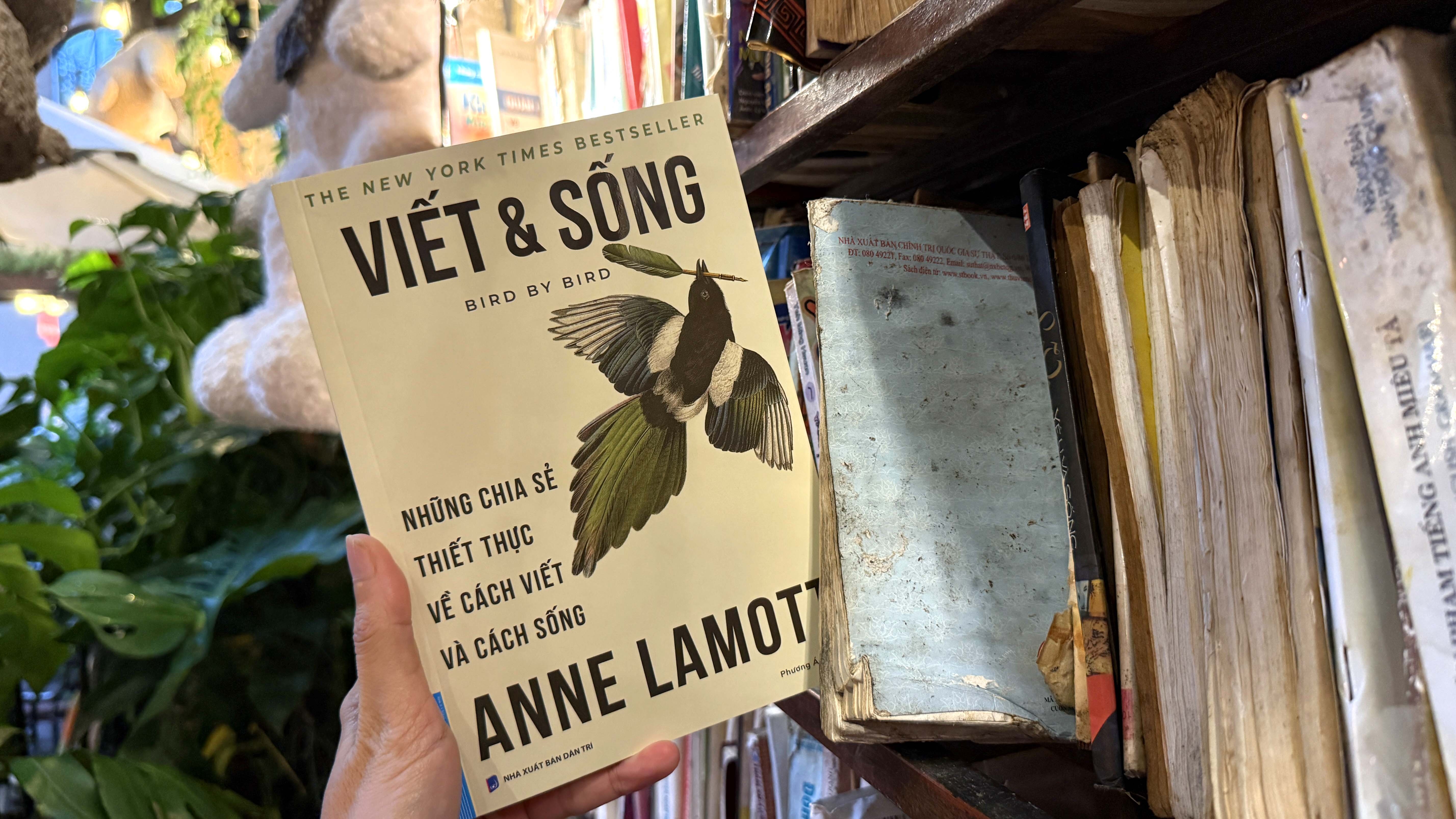 Giua vo van noi dung do AI tao ra, dau la giong van cua chinh ban? hinh anh