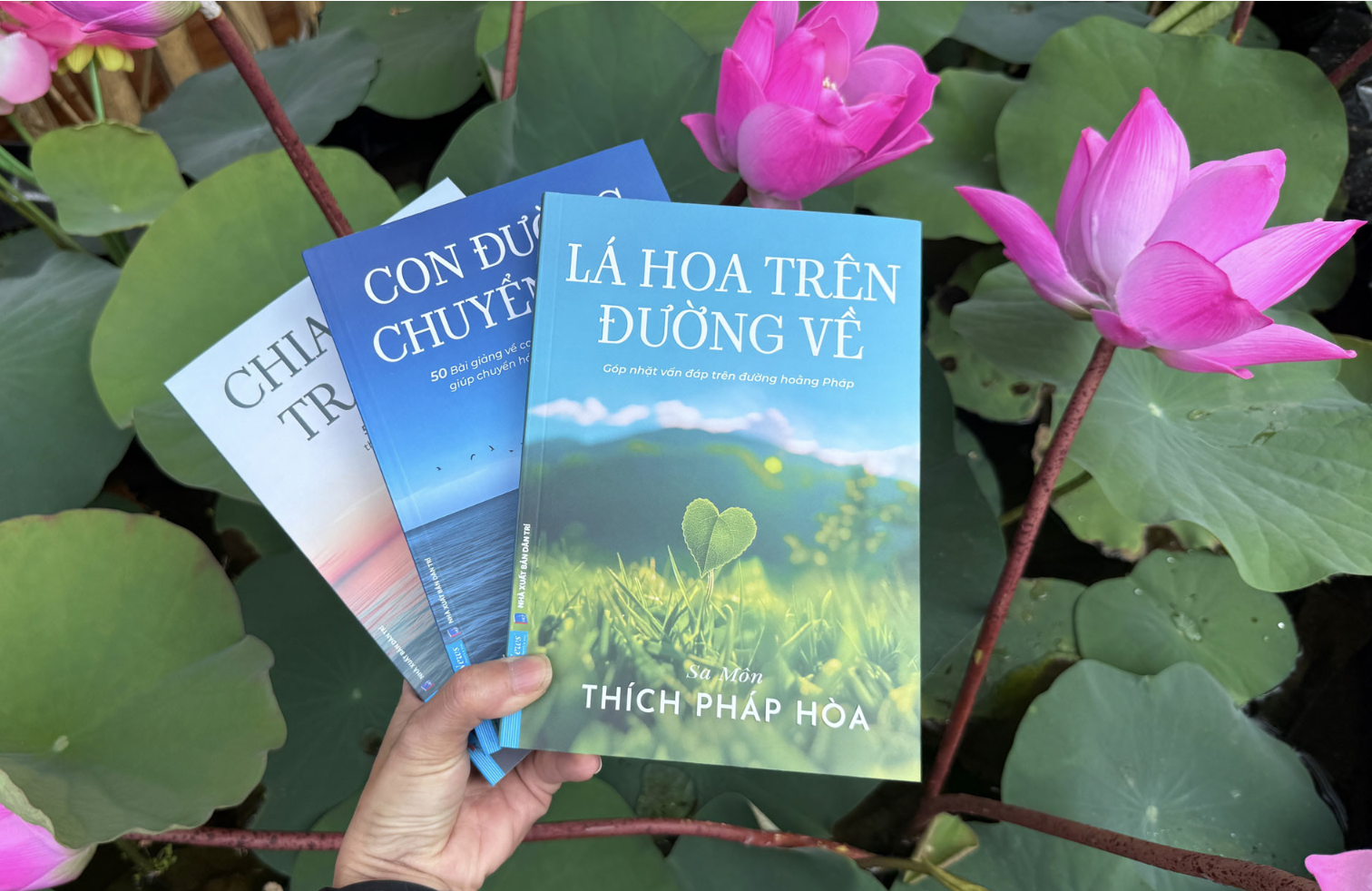 Thich Phap Hoa anh 2