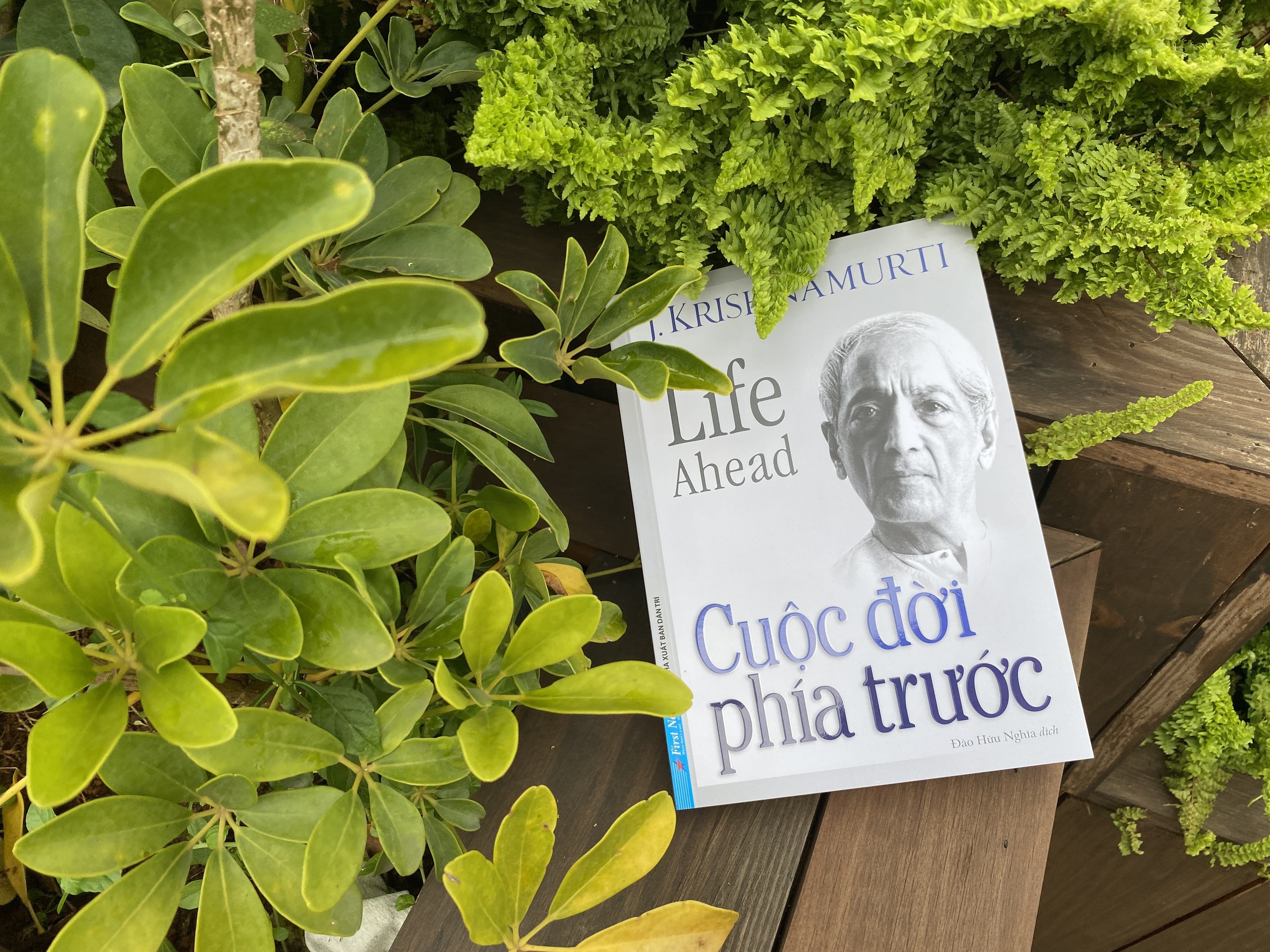 Hanh trinh truong thanh anh 3