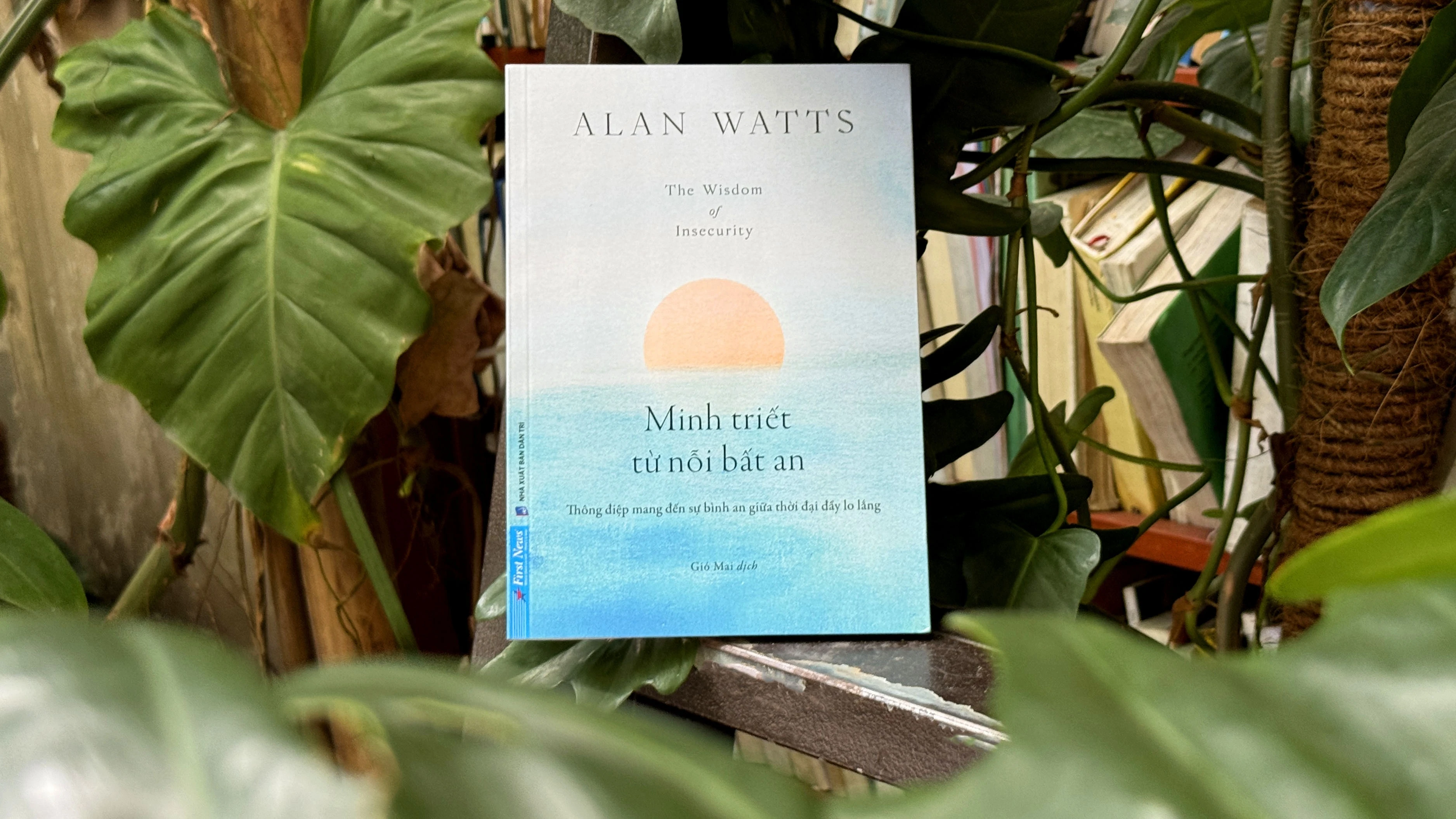 Alan Watts anh 3