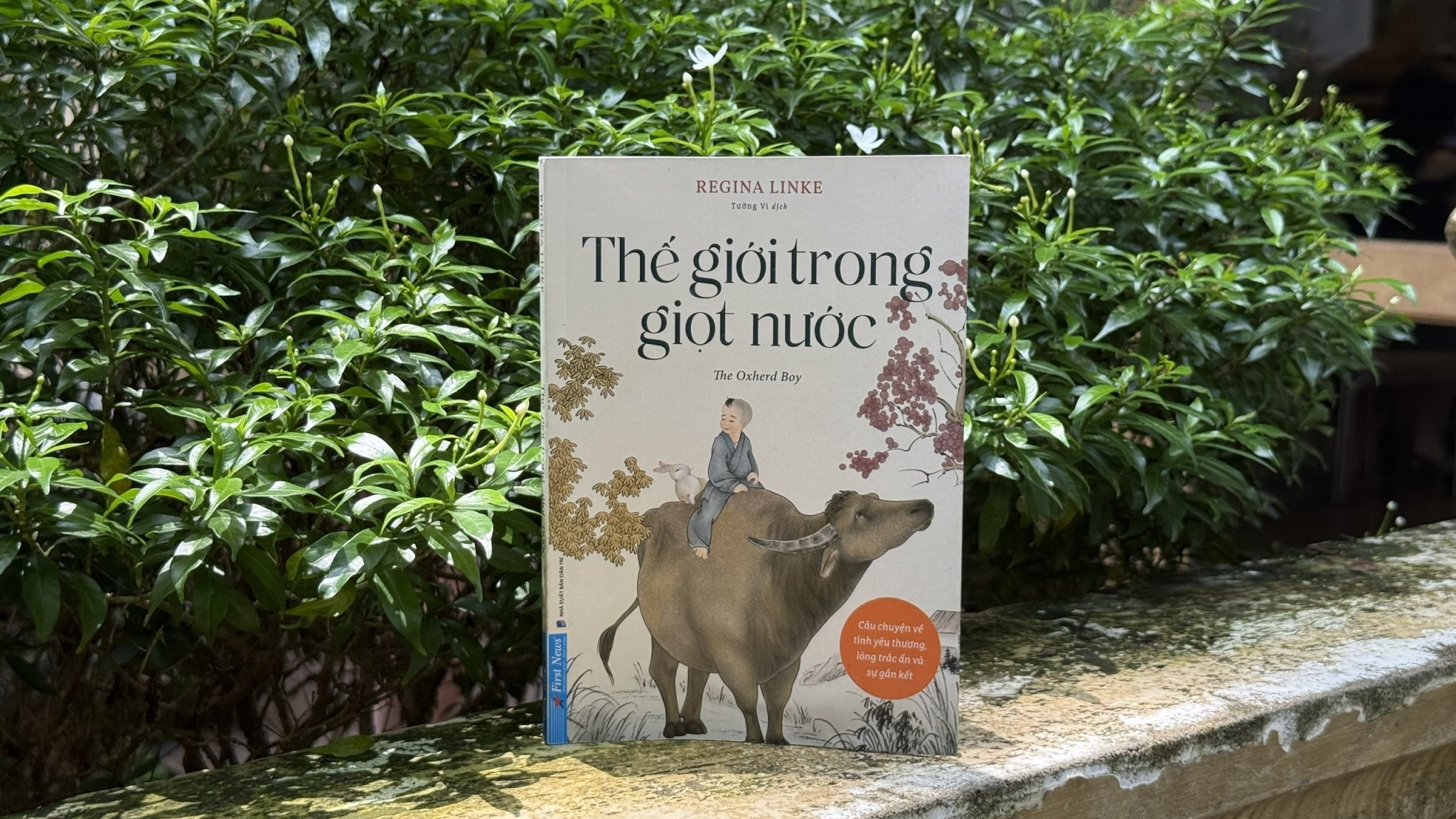 Thế giới ảnh 3