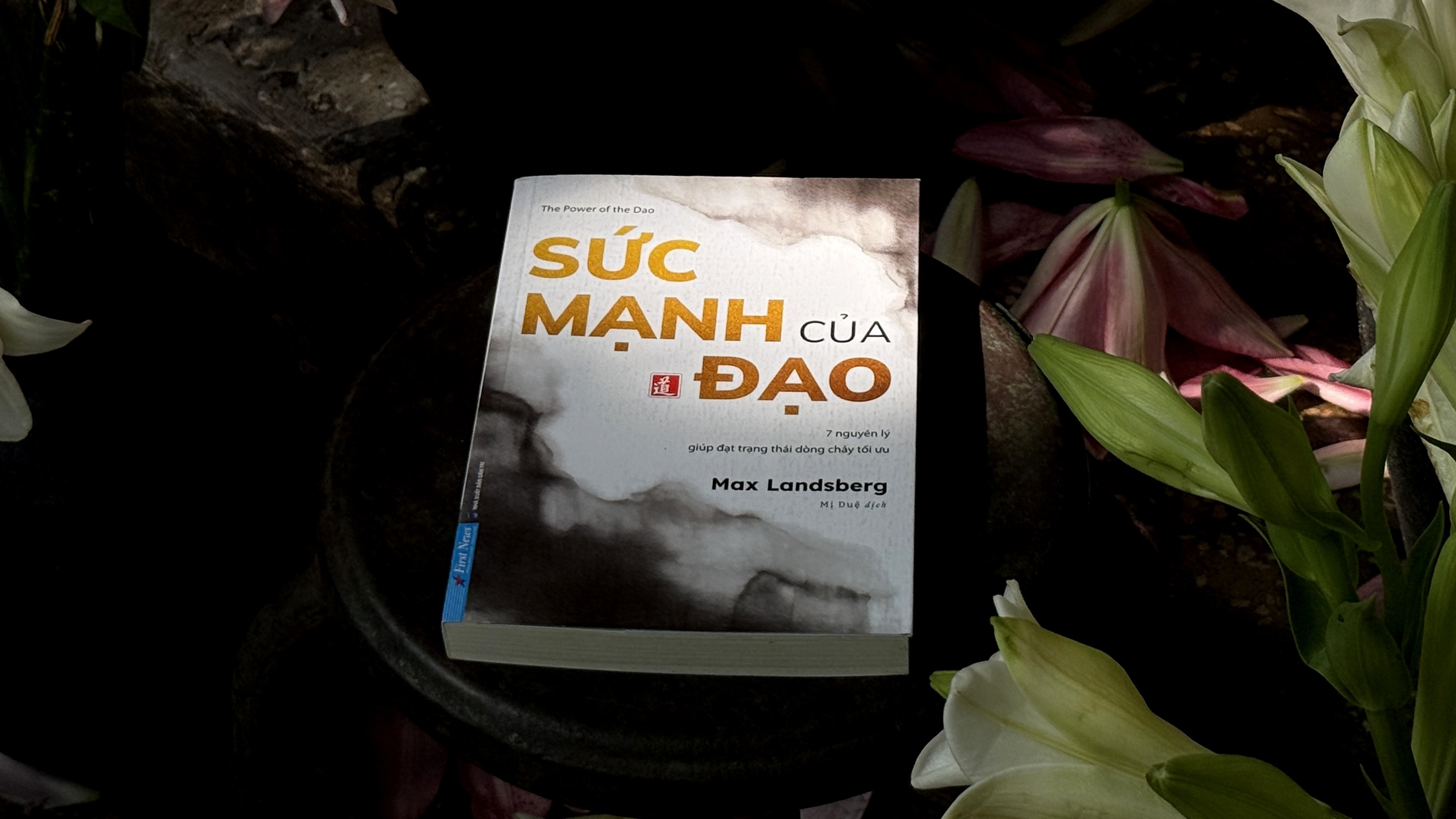 tập trung s&acirc;u ảnh 3