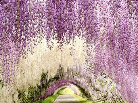 10 'thien duong' co that tren the gioi hinh anh