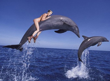 Miley Cyrus bi che anh vi tung MV nhay cam hinh anh