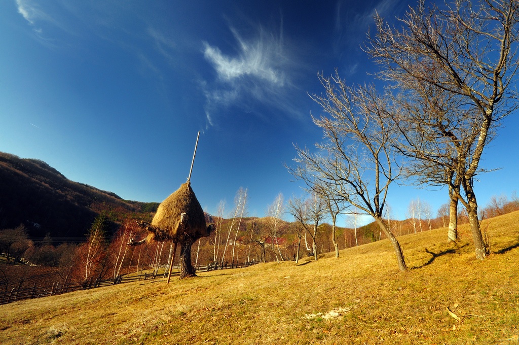 Nhung thap co kho la lung o Rumani hinh anh
