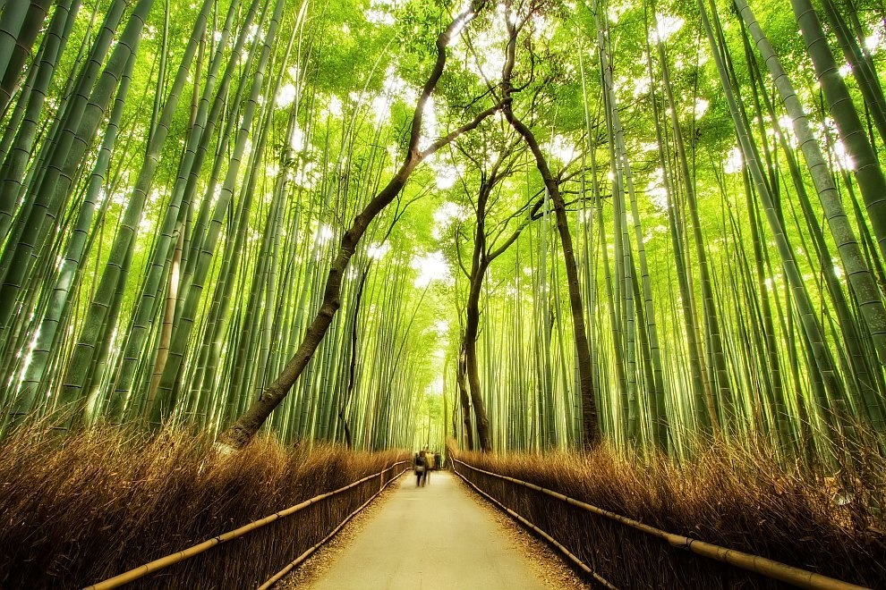 10 canh dep ngoai suc tuong tuong cua con nguoi hinh anh