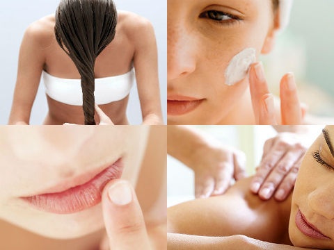 'Meo' lam dep A-Z khong the bo qua voi dau dua hinh anh