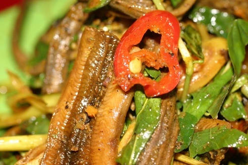 luon om chuoi dau anh 8