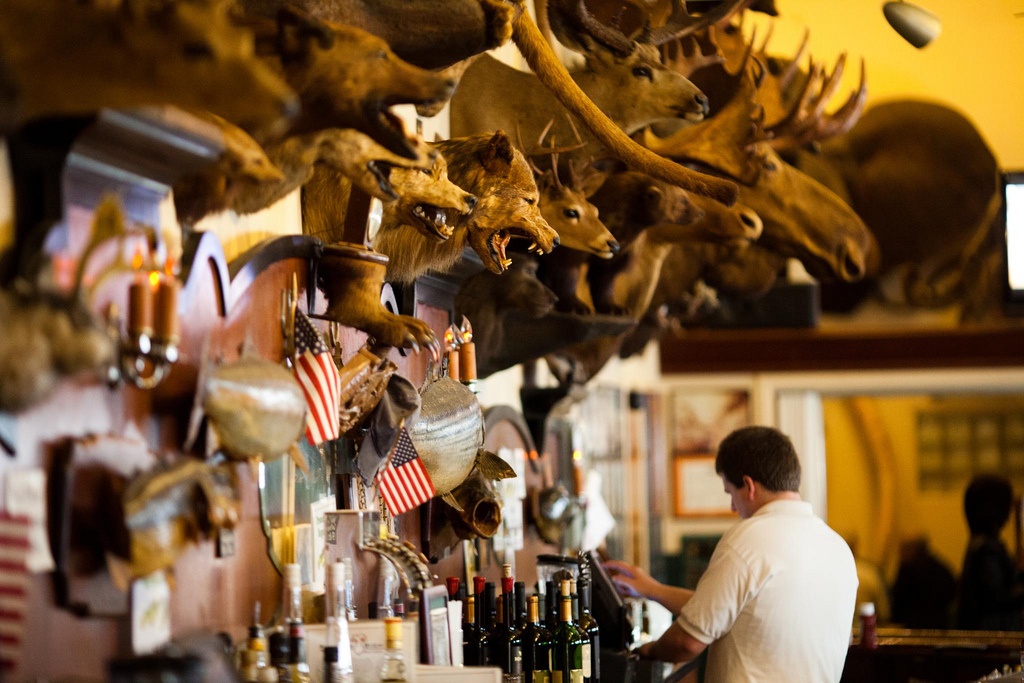 An va ngam hon 300 dau dong vat o nha hang My hinh anh