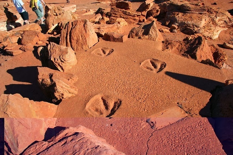 Toi Uc uom thu vao vet chan khung long hinh anh