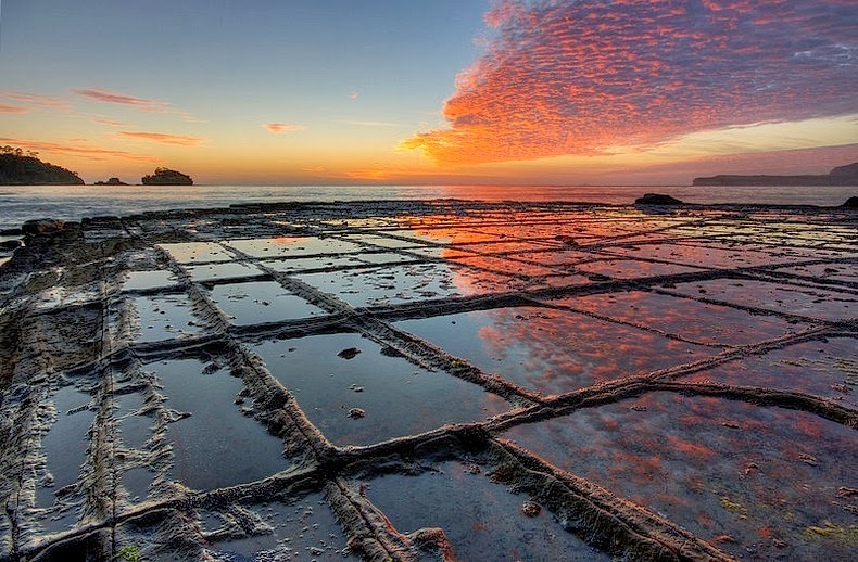 Via he lat da ngoan muc o hon dao Tasmania, Australia hinh anh