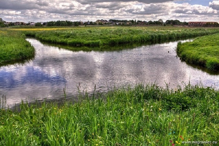 Hien tuong thuy van doc dao o Ba Lan hinh anh