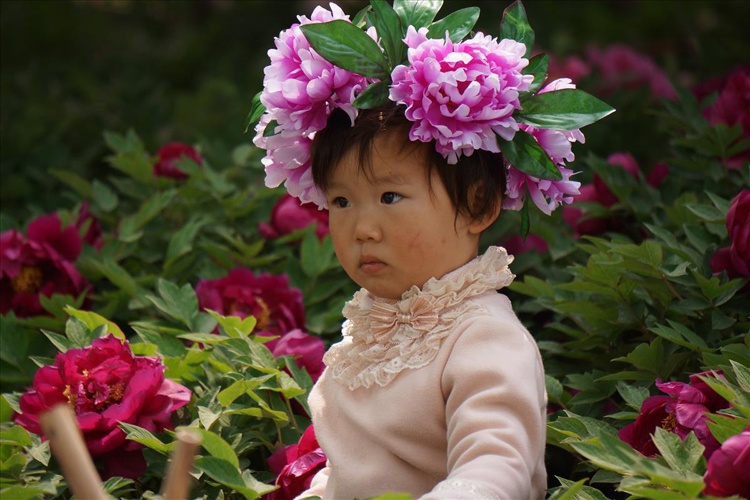 Một em bé ở thành phố Lạc Dương được mẹ cho đi ngắm hoa, với chiếc vòng đội đầu độc đáo được kết bằng những bông mẫu đơn rực rỡ.