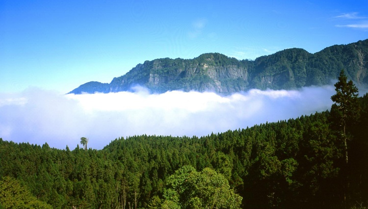 Núi A Lý trực thuộc dãy Ngọc Sơn, có độ cao 2.216 m và là danh thắng nổi tiếng của Đài Loan. Ngọn núi này nằm cách thành phố Gia Nghĩa  khoảng 75 km về hướng Đông.