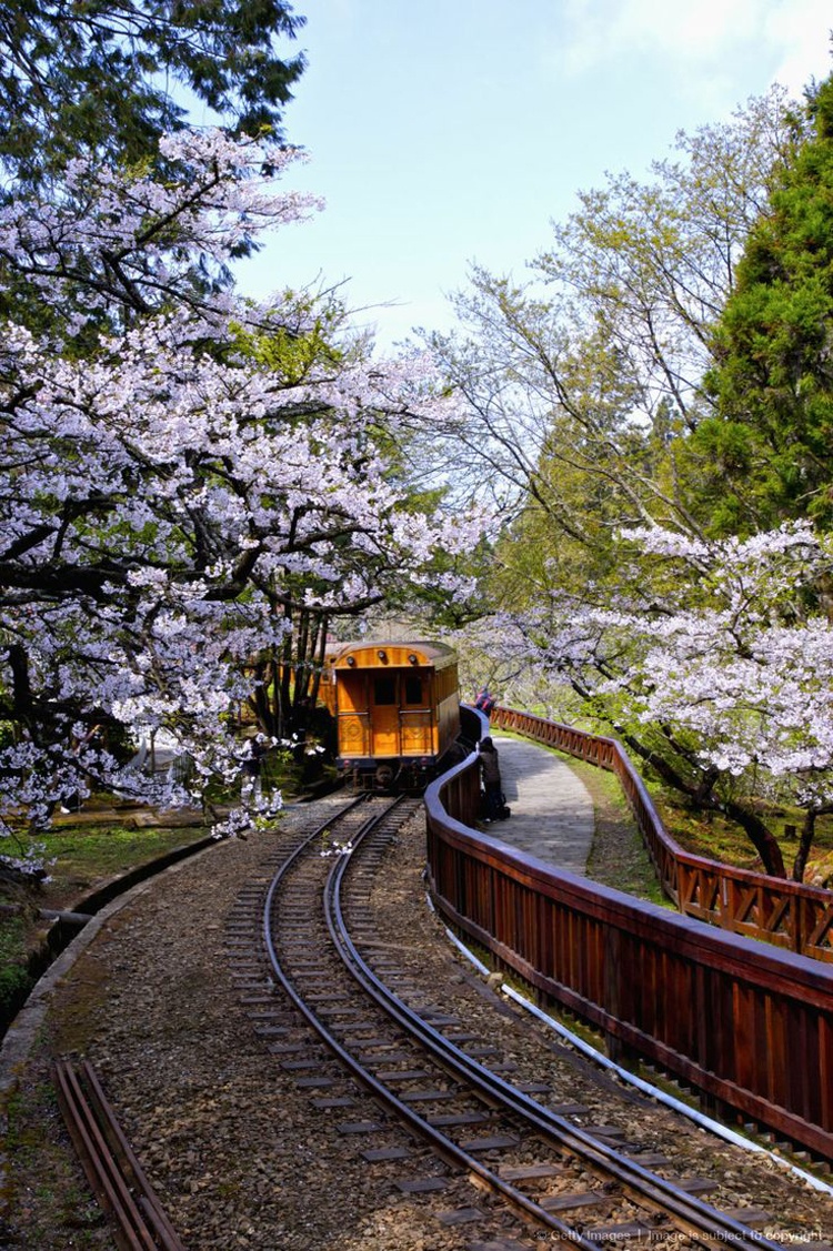 Mùa xuân là thời điểm núi A Lý đẹp lung linh, huyền ảo nhất trong sắc hoa đào.