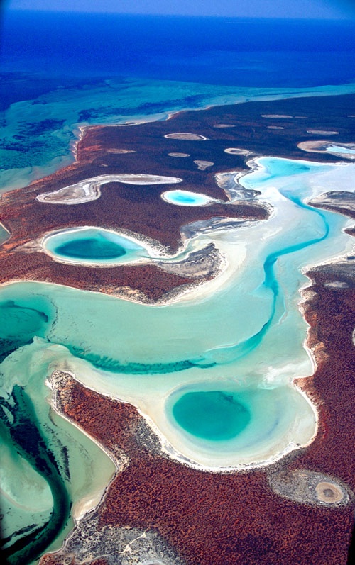 Birridas rất đa dạng về kích thước, có dạng hình tròn hay bầu dục và đường kính rộng từ 100 m đến 1 km. Chúng thường nổi lên giữa hồ nước mặn, bậc thềm nâng lên bao quanh bởi một con hào trũng sâu.