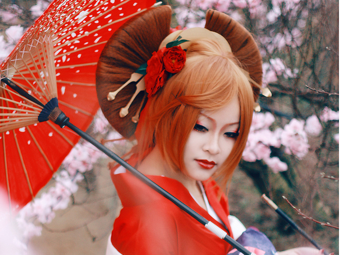 Le hoi mua xuan va cosplay Nhat Ban to chuc xuyen Viet hinh anh