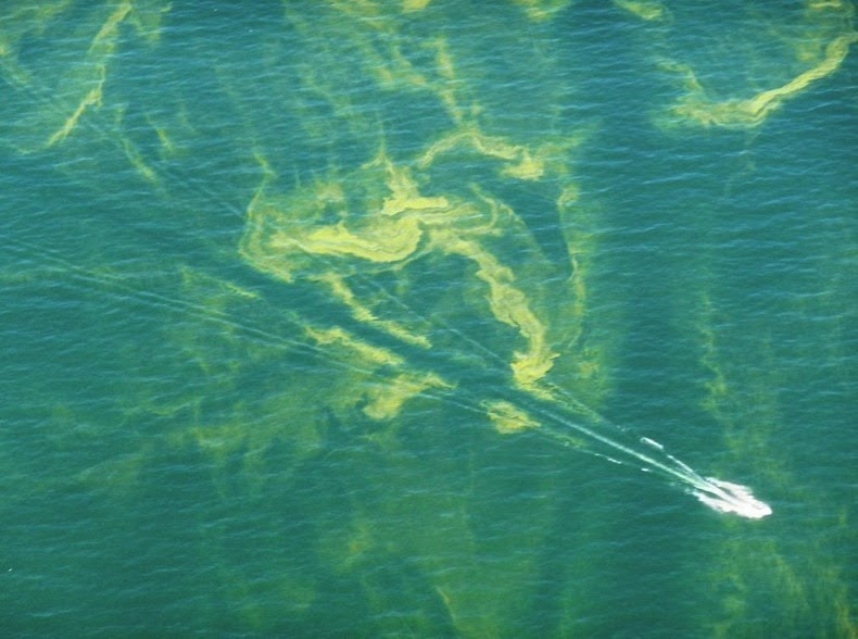 Nước chảy ra từ hồ Erie làm hoạt động các tua-bin lớn ở ngọn thác Niagara cung cấp thủy điện cho hai quốc gia Canada và Mỹ. Việc phát triển công nghiệp tập trung dọc theo bờ hồ đã làm tổn hại đến môi trường của hồ trong nhiều thập kỷ với các vấn nạn như đánh bắt quá mức, ô nhiễm và tảo nở rộ nhanh chóng trong thời gian gần đây. 