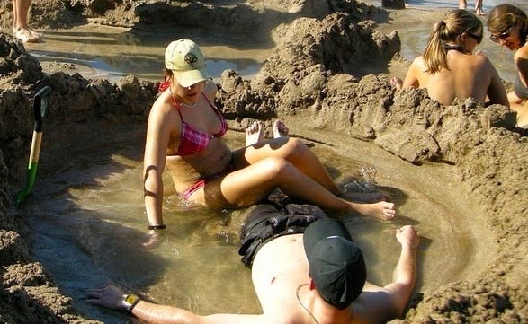 Toi New Zealand tam cat hinh anh