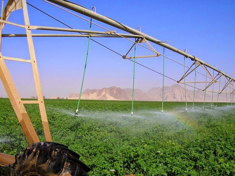Nước được lấy ra từ tầng chứa nước ngầm, sâu từ 30 đến 400 mét và tưới trên những thửa ruộng tròn có diện tích 78 ha, bằng cách sử dụng một hệ thống ống nối  với những vòi phun tưới nước xoay. Đặc biệt là những đường hầm được thiết kế bằng nhựa cũng được sử dụng để giúp bảo tồn nước và đối phó với nhiệt độ sa mạc khắc nghiệt.