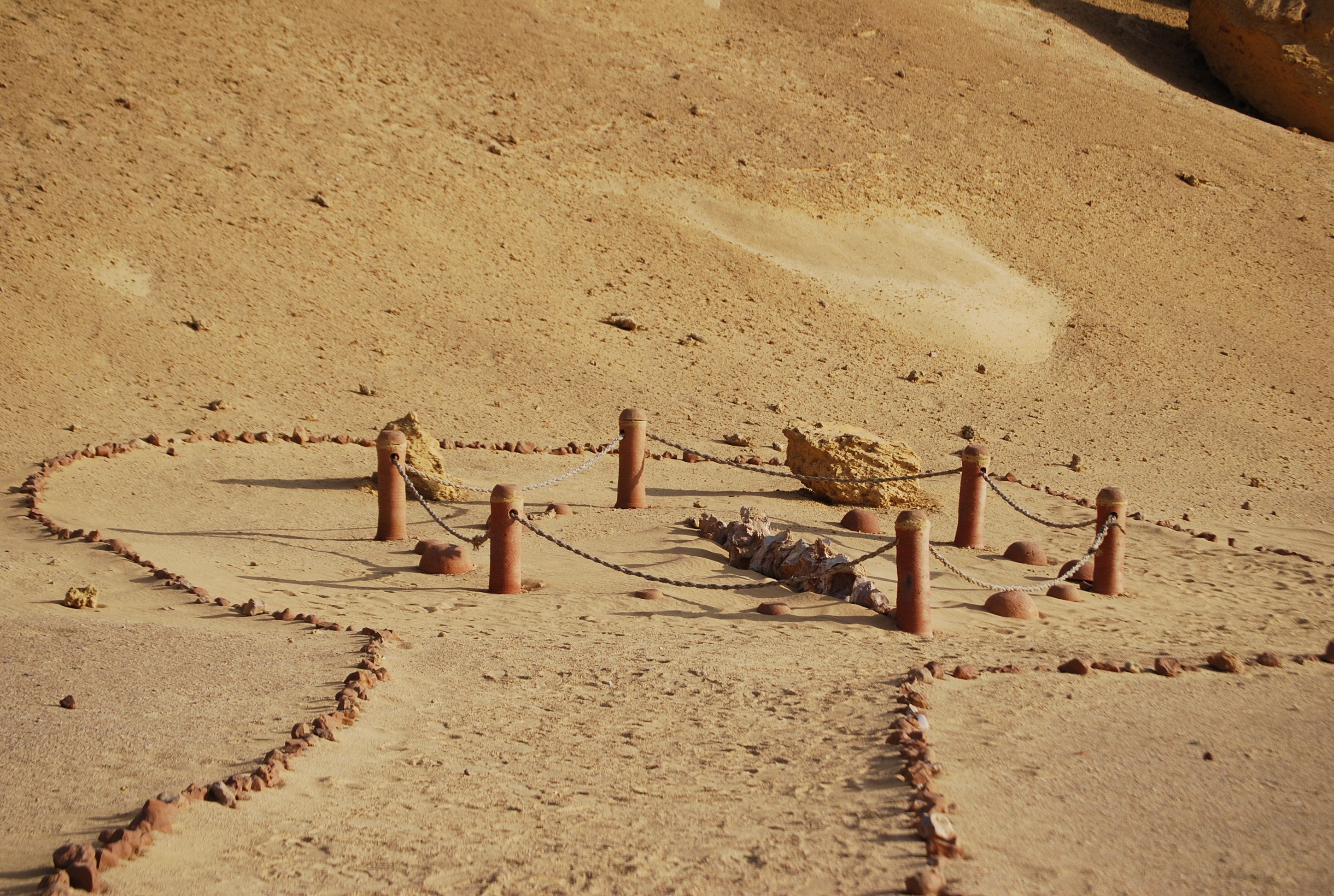 Thung lũng hẻo lánh này nằm ở sa mạc Tây, khoảng 150 km về phía tây nam thủ đô Cairo, chứa bộ sưu tập xương hóa thạch của cá voi có giá trị mà nay đã tuyệt chủng, được gọi là phân bộ cá voi cổ.