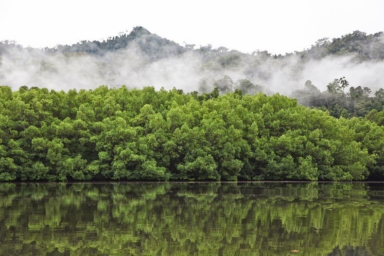 Chủ yếu bao gồm các đảo không có người ở, Raja Ampat có một số địa điểm lọt vào top những điểm lặn tốt nhất trên thế giới. Bên cạnh đó, những hòn đảo dân cư thưa thớt cũng là nơi tuyệt vời để ngắm chim hay khám phá những cảnh đẹp tuyệt vời của những con dốc, những hòn đảo có rừng rậm bao phủ, những bãi biển cát trắng mịn, đầm phá ẩn, hang động ma quái, những hòn đảo nhỏ hình nấm kỳ lạ và làn nước trong suốt. 