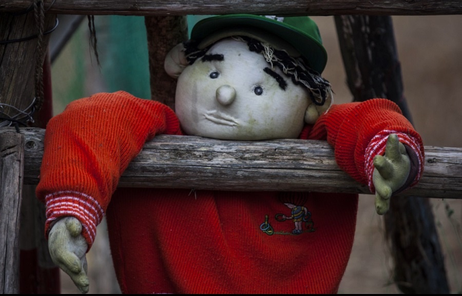 Trong khoảng thời gian 10 năm, Ayano Tsukimi đã làm khoảng 350 con búp bê với đủ kích cỡ, mỗi một con búp bê như vậy là đại diện cho một người dân trong ngôi làng cũ.