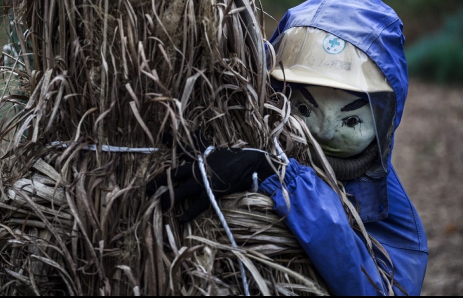 Thung lung bup be rung ron o Nhat hinh anh