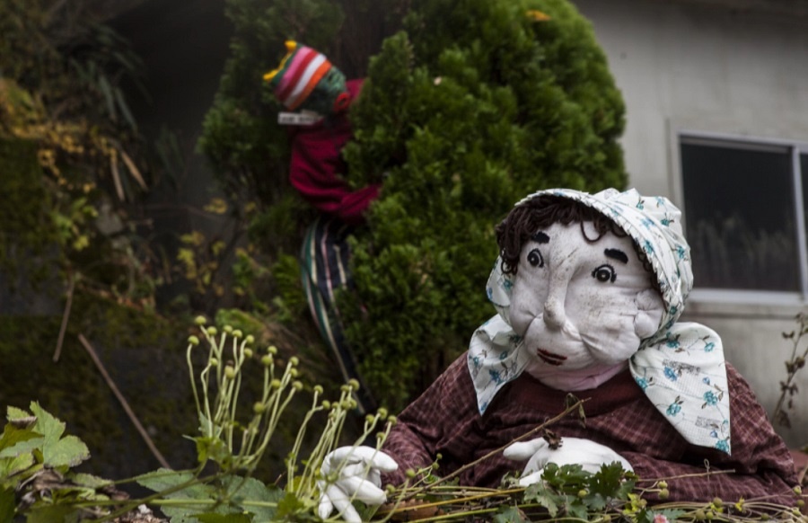 Tài năng làm búp bê của nghệ sĩ vẫn duy trì sự ẩn dật cho đến khi một năm sau đó cô quay trở về nhà mình. Trong năm đầu tiên, cô đã cố gắng chăm chỉ để gieo những hạt giống trên cánh đồng, nhưng không có hạt nào trong số ấy nảy mầm. Vì vậy, cô quyết định làm một bù nhìn và con bù nhìn ấy đã thực sự trông giống như cha của cô.