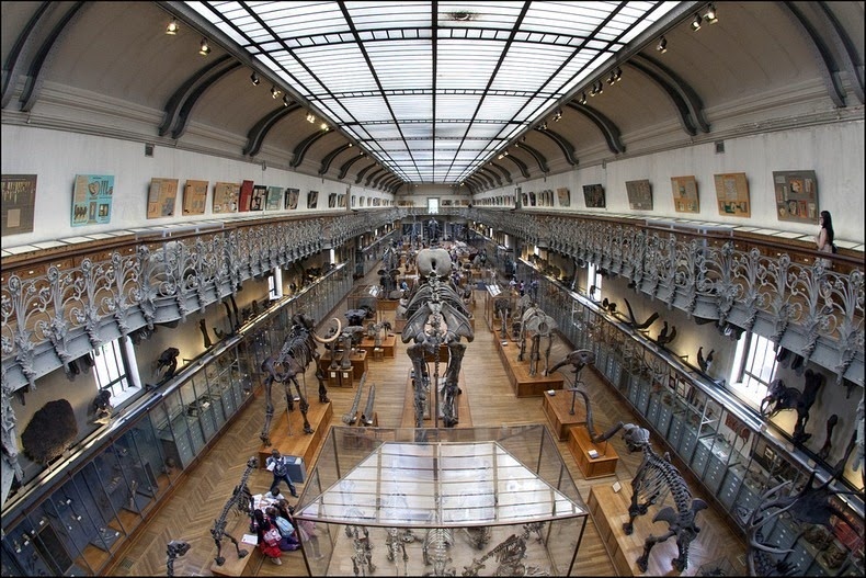 Phòng trưng bày cổ sinh vật học và giải phẩu học so sánh là một trong những bộ phận cấu thành bảo tàng Lịch sử Tự nhiên quốc gia Pháp. Phòng trưng bày hiện nắm giữ một trong những bộ sưu tập đẹp nhất và toàn diện nhất về xương trên thế giới.