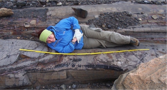 Ngư long có hình dạng cơ thể giống như cá đuối điện với đôi chân chèo thẳng đứng và mõm dài đầy răng. 