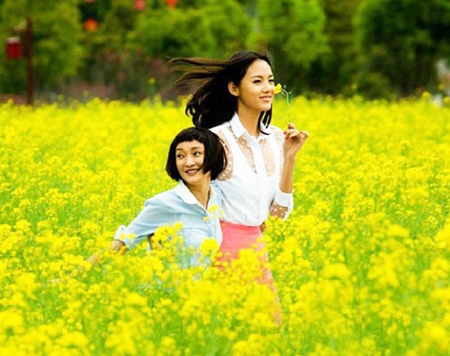 Khoanh khac lo chieu cao cua my nhan Hoa, Han hinh anh