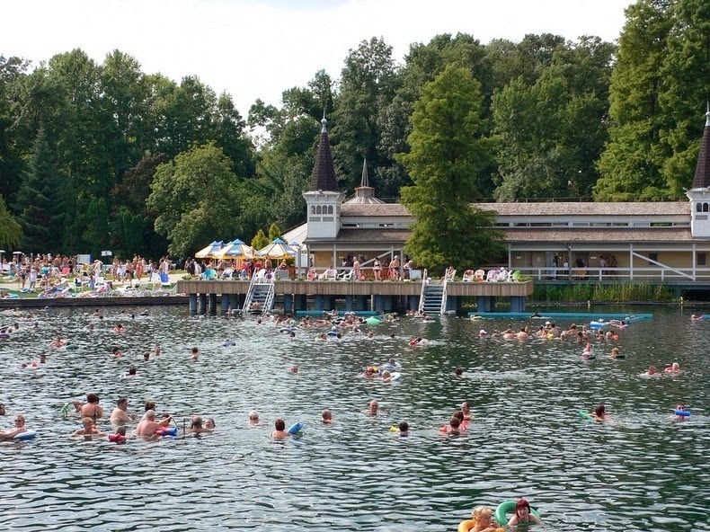 Hiệu quả chữa bệnh của hồ được cho là một sản phẩm của sự pha trộn độc đáo giữa các chất hữu cơ và vô cơ trong những vùng nước. Heviz là một hồ nước có hoạt tính sinh học và là ngôi nhà của một số lượng lớn vi khuẩn có lợi. 