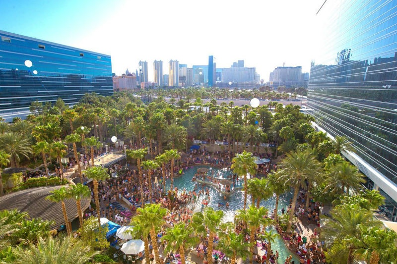 Hồ bơi tại Hard Rock ở Las Vegas trông khá kín đáo, nhưng nếu ban đang tìm kiếm địa điểm để tổ chức một bữa tiệc ban ngày ngoài trời, đây chính là lựa chọn lý tưởng.