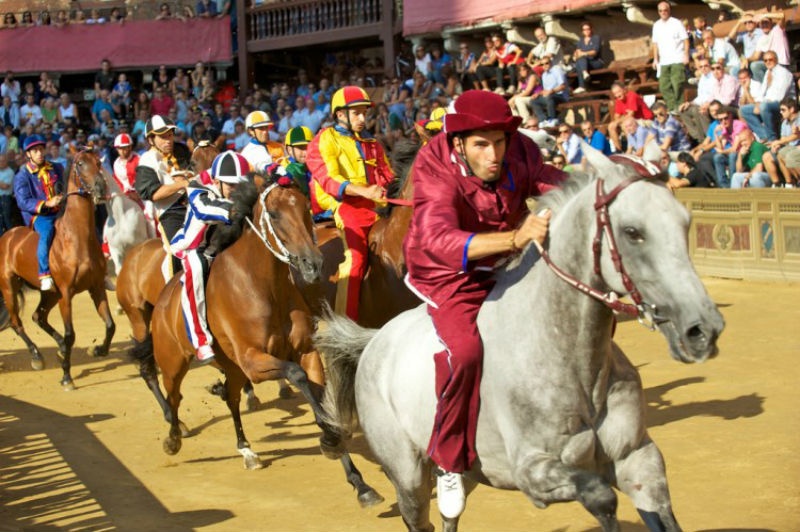 4. Palio di Siena, Ý: Đây được coi là cuộc đua ngựa nổi tiếng thu hút hàng ngàn du khách tham gia mỗi năm. Lễ hội truyền thống có bề dày lịch sử 700 năm sẽ có 10 người tham dự cuộc đua, đại diện cho 17 làng khác nhau đua trên một quảng trường lát đá cuội. Cuộc đua diễn ra hai lần vào mỗi mùa hè, và nếu bạn không thể tham dự lần đầu vào ngày 2/7 thì cơ hội thứ hai là vào ngày 16/8. Mục đích của lễ hội là để tưởng nhớ Đức mẹ Maria và quá khứ hào hùng của Siena thời Trung cổ.