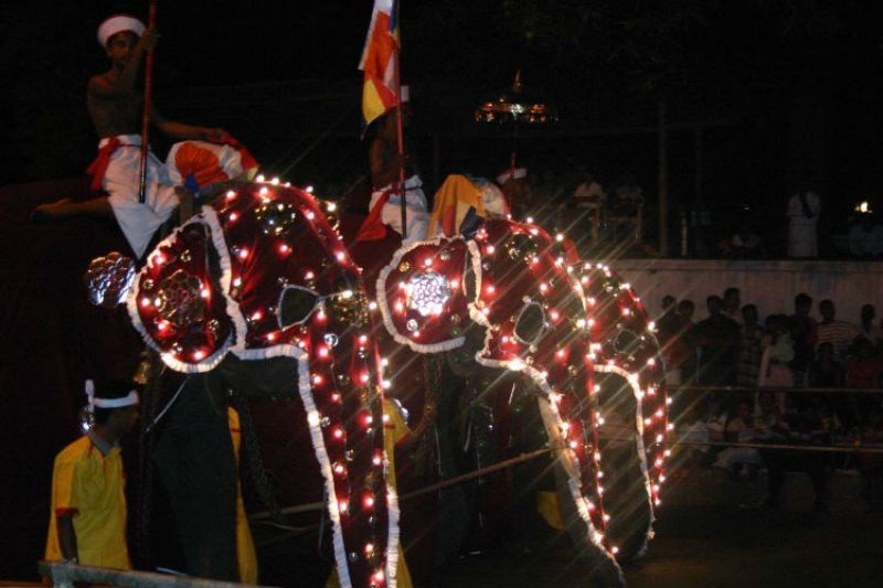 6. Sri Lanka – Lễ hội Esala Perahera: Esala Perahera hay còn gọi là Lễ hội Răng là một trong những lễ hội truyền thống đẹp nhất ở châu Á, đồng thời cũng là lễ hội lâu đời nhất trên thế giới. Lễ hội này được tổ chức tại Kandy vào tháng 7 hoặc tháng 8 hàng năm có nguồn gốc từ hai lễ hội xa xưa, lễ hội cầu các vị thần ban mưa, và lễ hội xá lợi răng Phật. Du khách tới đây sẽ được tham gia vào các cuộc diễu hành của những vũ công, nhạc công mặc áo đầy màu sắc và những chú voi trang hoàng sặc sỡ.