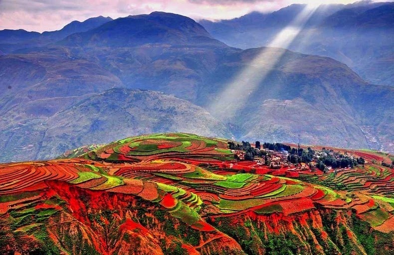 Ve dep long lay cua mien dat do Dong Xuyen hinh anh