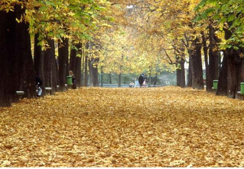 Lombardy, Ý: Nằm ở miền bắc nước Ý, Lombardy là một trong những địa điểm lý tưởng để có thể chiêm ngưỡng một mùa thu châu Âu đầy màu sắc. Những chiếc lá vàng rơi từ hàng cây dương Lambardy bản địa luôn khiến mọi du khách xao xuyến. Hình ảnh thơ mộng của những vùng nông thôn, các thị trấn cổ xưa cùng các tòa lâu đài lại càng trở nên lãng mạn hơn trong sắc thu tháng mười nơi đây.