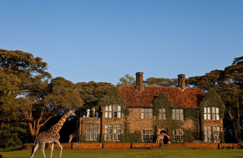 10. Khách sạn Giraffe Manor, Kenya: được xây dựng bởi David Duncan vào năm 1932, nhìn ra đồi Ngong và ngọn núi Mt.Kilimanjaro nổi tiếng. Điều đặc biệt thu hút du khách chính là họ tha hồ được ngắm nhìn, vui đùa với những chú hươu cao cổ hoang dã. Những chú hươu cao cổ Rothschild có nguy cơ bị tuyệt chủng này sẽ được đi lang thang khắp nơi quanh khách sạn và thậm chí ăn sáng cùng du khách.