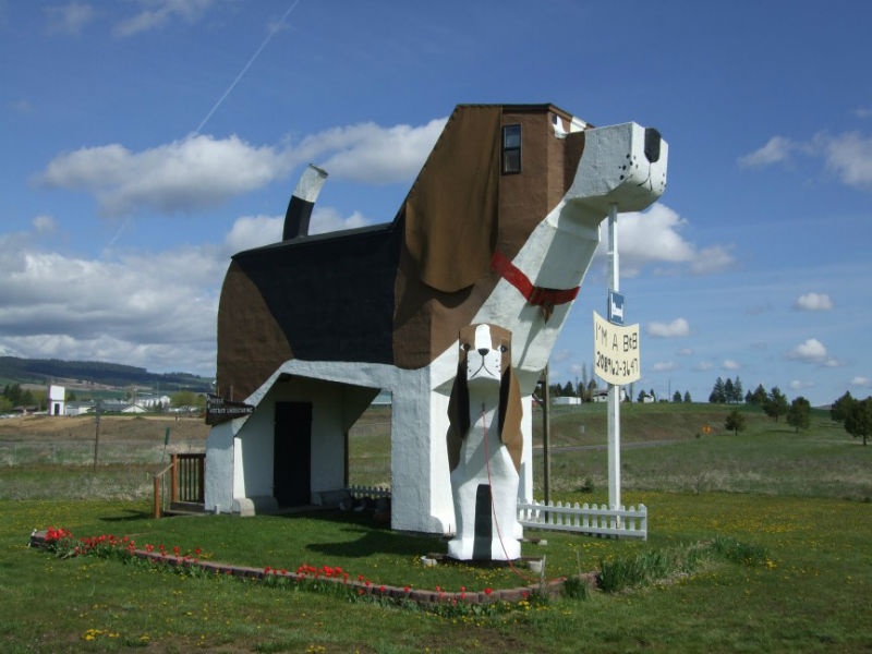 9. Khách sạn Dog Bark Park Inn, Idaho, Mỹ là nơi duy nhất mà bạn có thể ngủ cùng những “chú chó” mà vẫn ngon giấc. Khách sạn này được thiết kế theo hình dạng một chú chó săn và người chủ khách sạn đã tự tay thiết kế từ đồ đạc tới cách trang trí, tất cả đều liên quan đến chủ đề chú chó. Điều kỳ lạ nhất ở đây là muốn vào bên trong khách sạn, bạn sẽ phải leo lên cầu thang được đặt ở “mông” chú chó này.