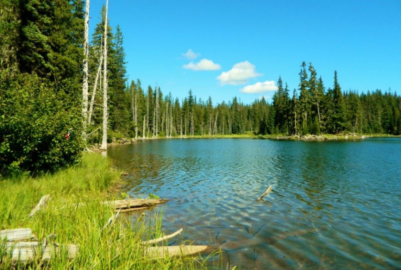 2. Hồ Horseshoe, Mỹ:  Nằm gần thị trấn Mammoth Lakes, Horseshoe được coi là một 