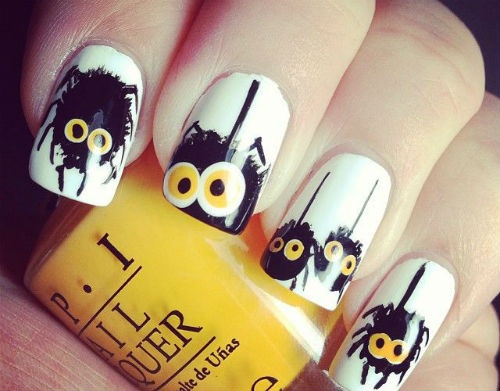 Những chú nhện sẽ không còn đáng sợ với đôi mắt to đáng yêu này.