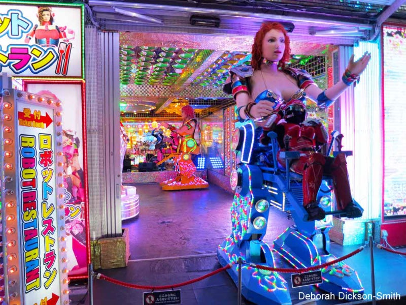 Lối vào nhà hàng có một chú robot và một vài tiếp viên mặc nhiều trang phục độc đáo khác nhau đứng để mời chào, tiếp đón và mỉm cười với khách, kể cả khi khách không vào.