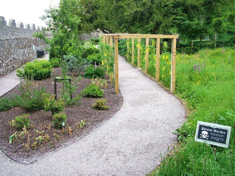 Khu vực cây hoang dã với nhiều loại cây độc nguy hiểm nhất đối với loài người và đã cướp đi sinh mạng của con người trong nhiều trường hợp. 