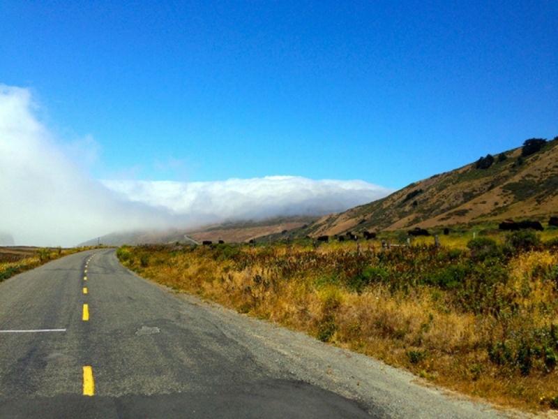 5. Loast Coast, bắc California: Ở cuối con đường cao tốc số 1, bạn sẽ thấy những ngọn hùng vỹ hướng thẳng ra Thái Bình Dương. Ở đây bạn sẽ được chiêm ngưỡng những bãi biển cát đen, những con sóng hoang dã và những cây gỗ đỏ đặc trưng của vùng Loast Coast. Buổi sáng sẽ có những lớp sương mù bao quanh các cành cây, ngọn lá, tạo nên vẻ đẹp huyền bí và hư ảo. Tuy địa hình khá hẻo lánh và gồ ghề, nhưng Loast Coast lại mang lại cho bạn sự yên tĩnh, thoáng đãng đến lạ thường.